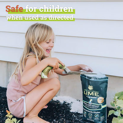 Lime Insect Repellent